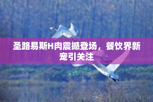 圣路易斯H肉震撼登场，餐饮界新宠引关注