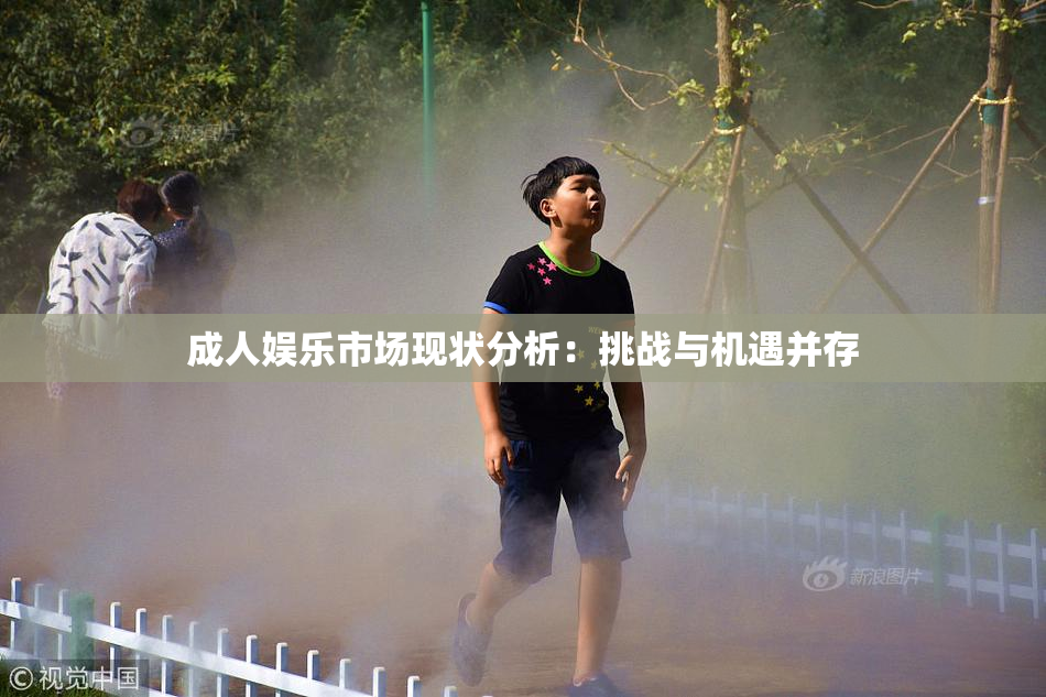 成人娱乐市场现状分析：挑战与机遇并存