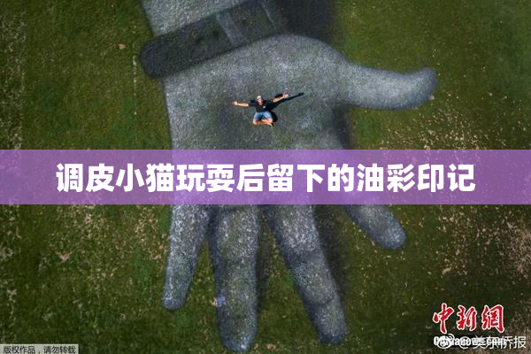 调皮小猫玩耍后留下的油彩印记