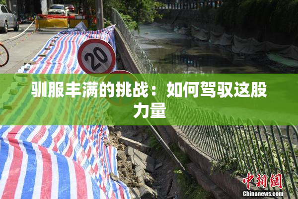 驯服丰满的挑战：如何驾驭这股力量