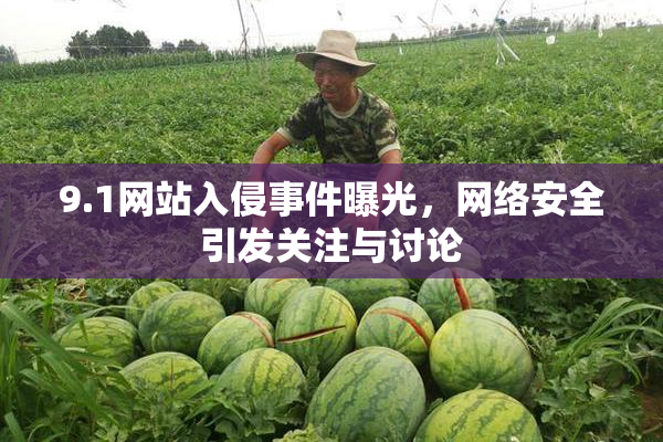 9.1网站入侵事件曝光，网络安全引发关注与讨论