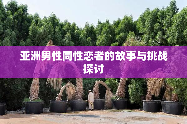 亚洲男性同性恋者的故事与挑战探讨