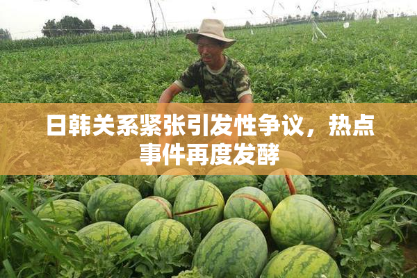 日韩关系紧张引发性争议，热点事件再度发酵