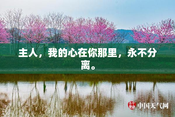 主人，我的心在你那里，永不分离。