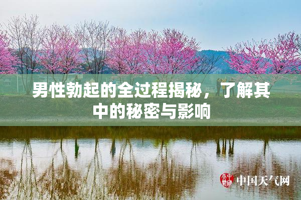 男性勃起的全过程揭秘，了解其中的秘密与影响