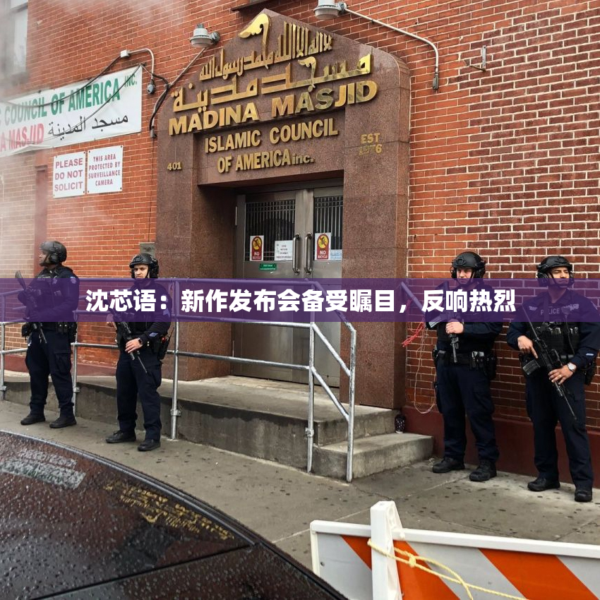 沈芯语：新作发布会备受瞩目，反响热烈