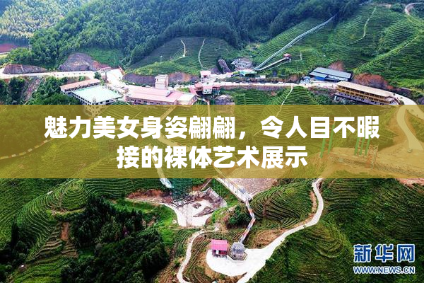 魅力美女身姿翩翩，令人目不暇接的裸体艺术展示