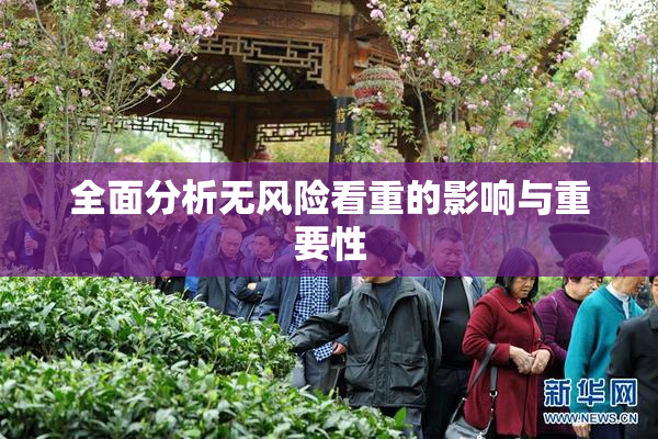 全面分析无风险看重的影响与重要性
