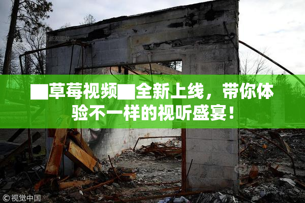 ▇草莓视频▇全新上线，带你体验不一样的视听盛宴！