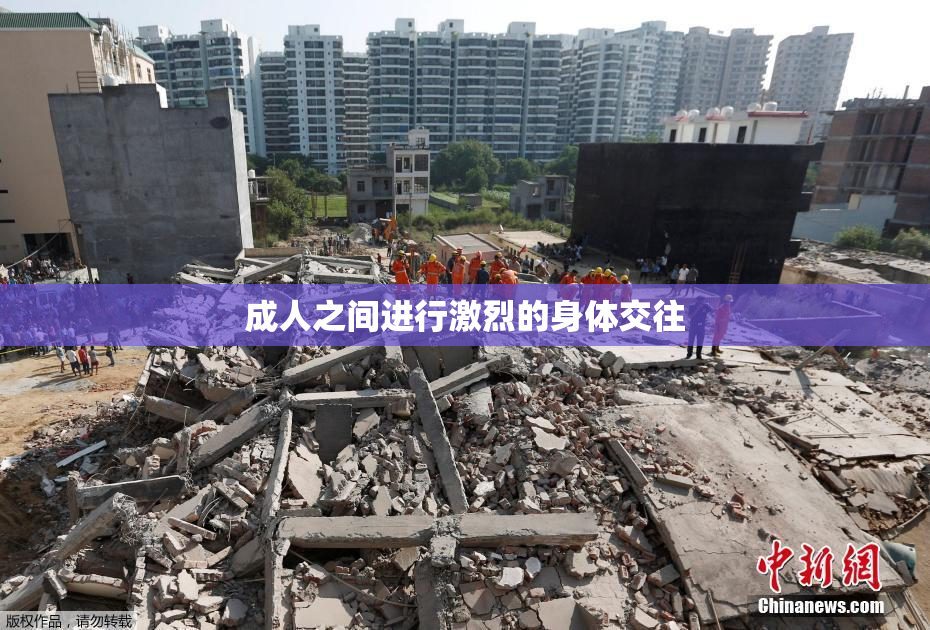 成人之间进行激烈的身体交往