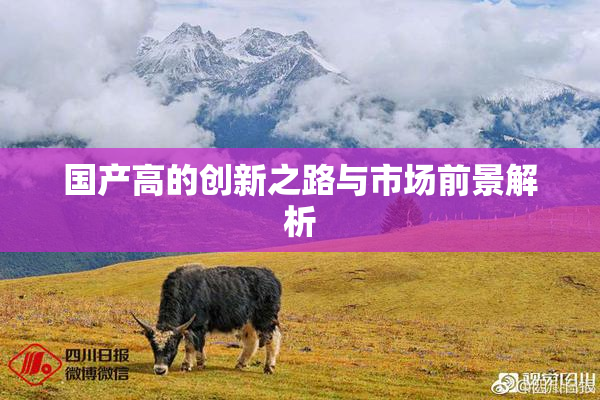 国产高的创新之路与市场前景解析