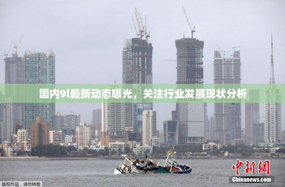 国内9l最新动态曝光，关注行业发展现状分析