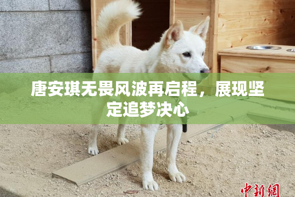 唐安琪无畏风波再启程，展现坚定追梦决心