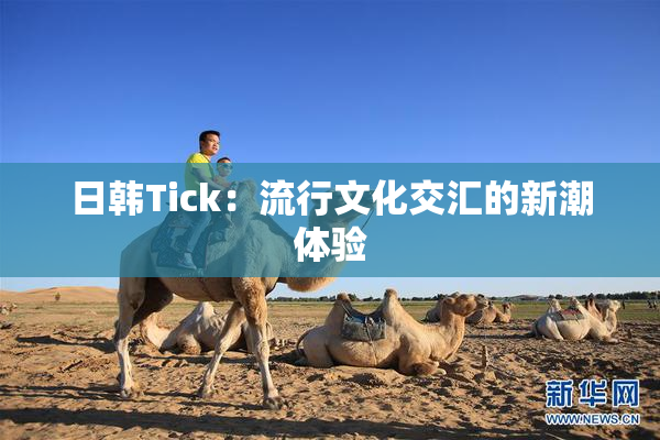 日韩Tick：流行文化交汇的新潮体验