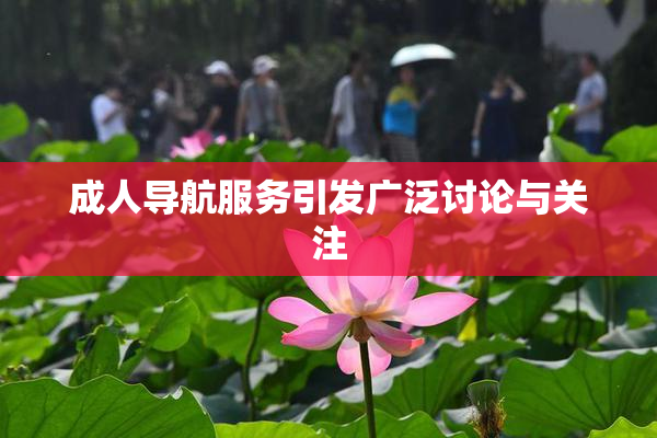 成人导航服务引发广泛讨论与关注