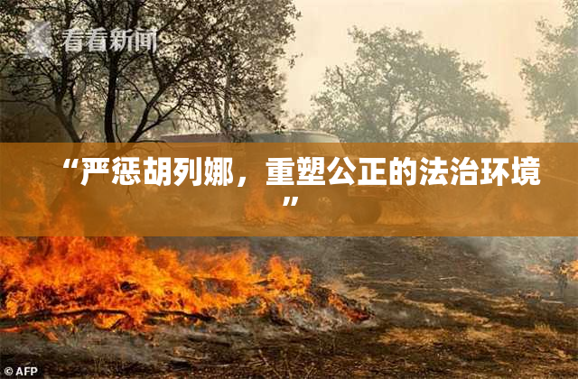 “严惩胡列娜，重塑公正的法治环境”