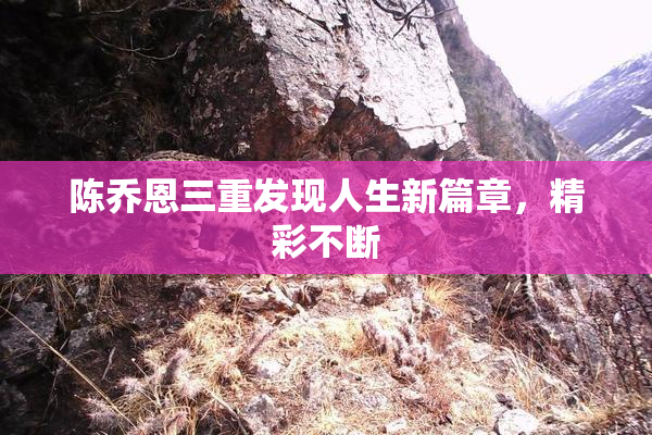 陈乔恩三重发现人生新篇章，精彩不断
