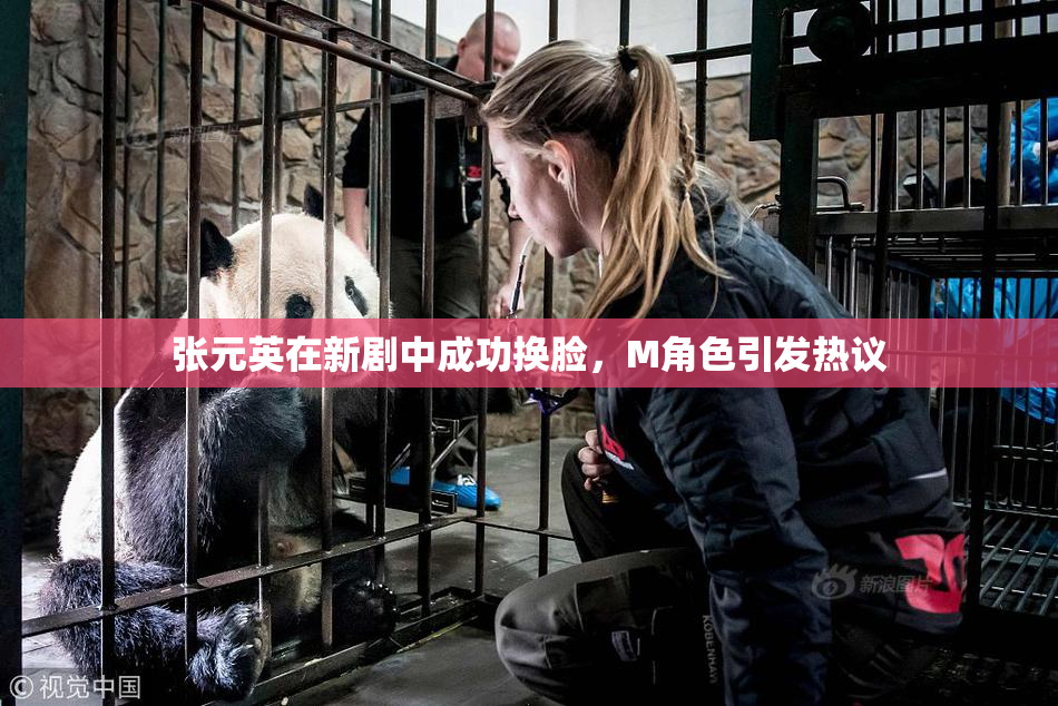 张元英在新剧中成功换脸，M角色引发热议