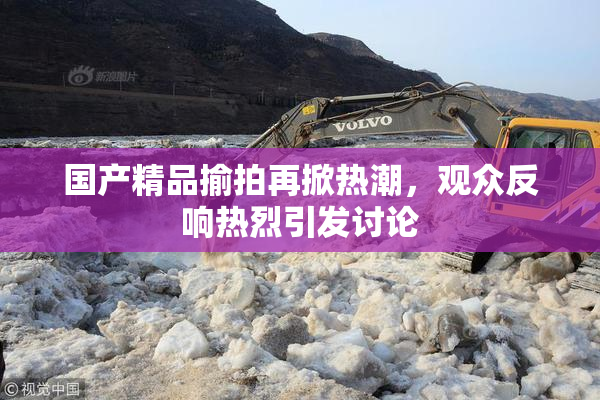 国产精品揄拍再掀热潮，观众反响热烈引发讨论