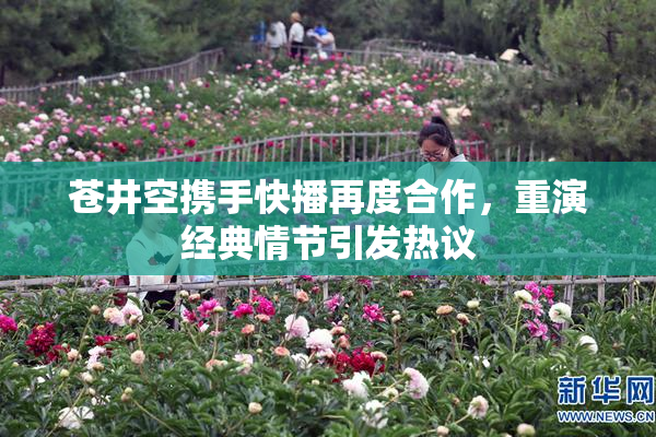 苍井空携手快播再度合作，重演经典情节引发热议