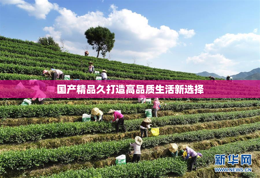 国产精品久打造高品质生活新选择