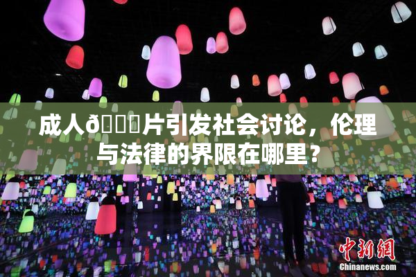 成人🔞片引发社会讨论，伦理与法律的界限在哪里？