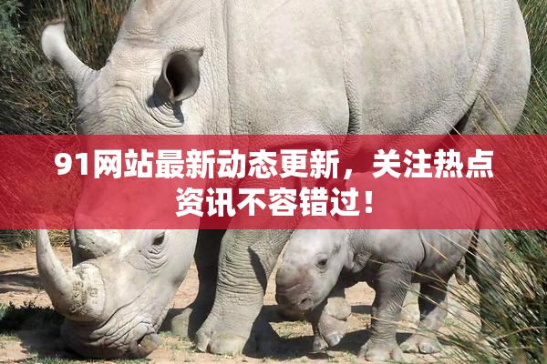 91网站最新动态更新，关注热点资讯不容错过！