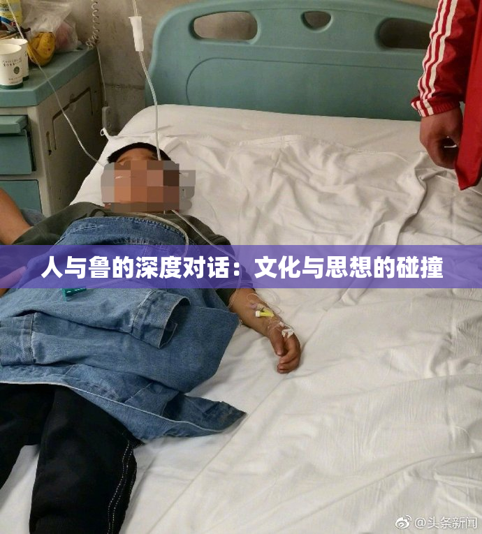 人与鲁的深度对话：文化与思想的碰撞