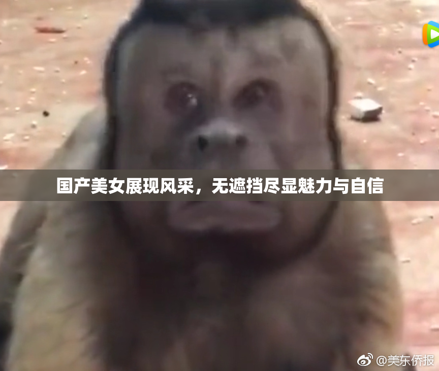 国产美女展现风采，无遮挡尽显魅力与自信
