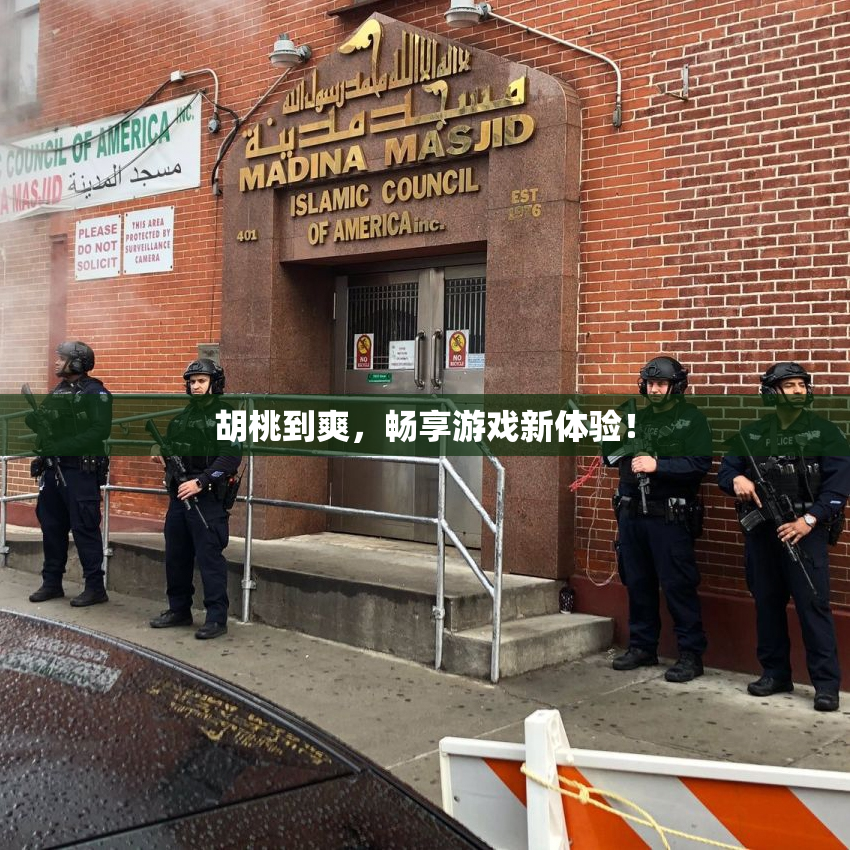 胡桃到爽，畅享游戏新体验！