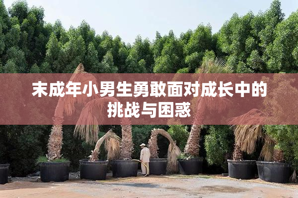 末成年小男生勇敢面对成长中的挑战与困惑