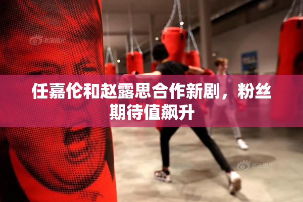 任嘉伦和赵露思合作新剧，粉丝期待值飙升