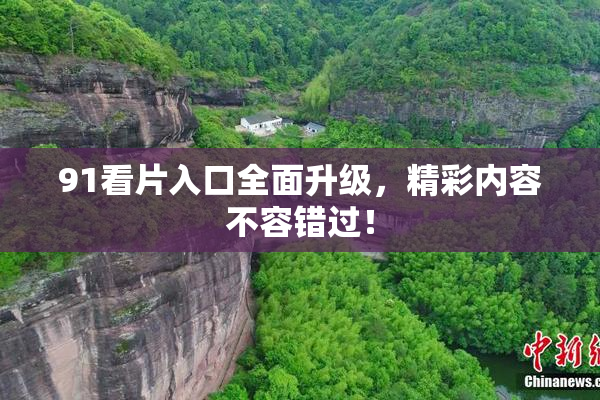 91看片入口全面升级，精彩内容不容错过！