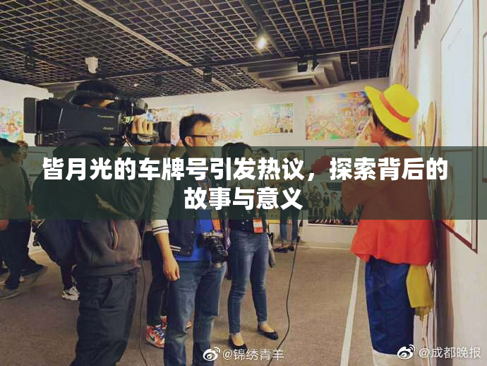 皆月光的车牌号引发热议，探索背后的故事与意义
