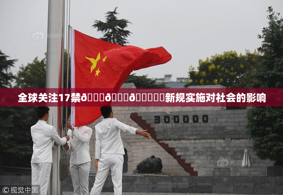 全球关注17禁🍆🍑🔞❌‌新规实施对社会的影响