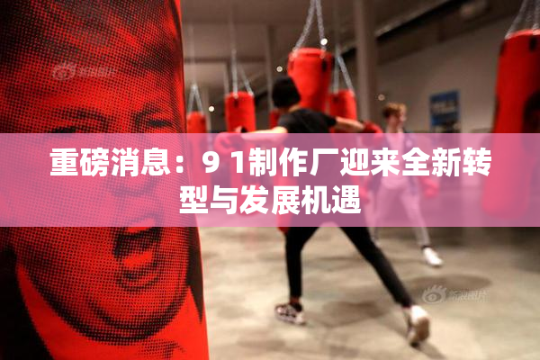重磅消息：9 1制作厂迎来全新转型与发展机遇