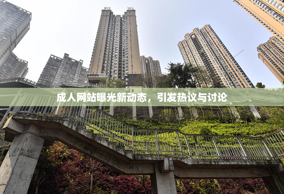 成人网站曝光新动态，引发热议与讨论