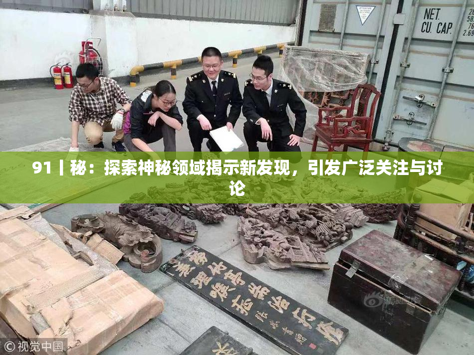 91丨秘：探索神秘领域揭示新发现，引发广泛关注与讨论
