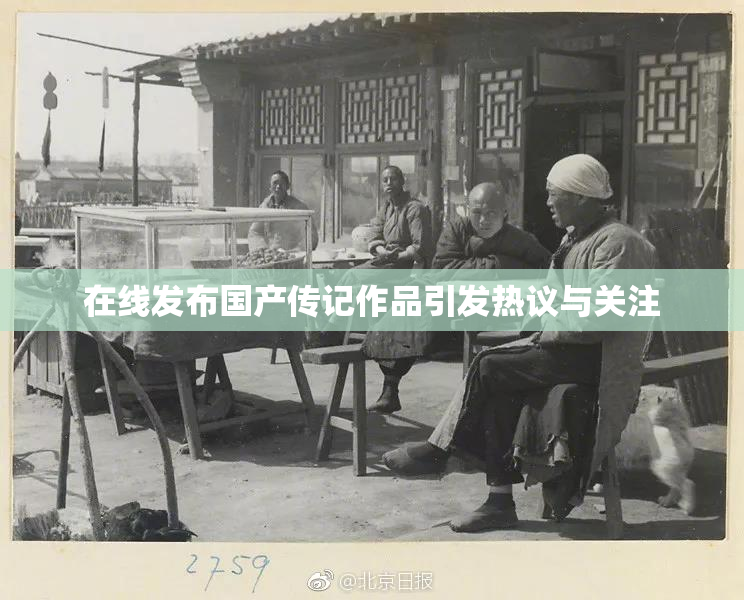 在线发布国产传记作品引发热议与关注