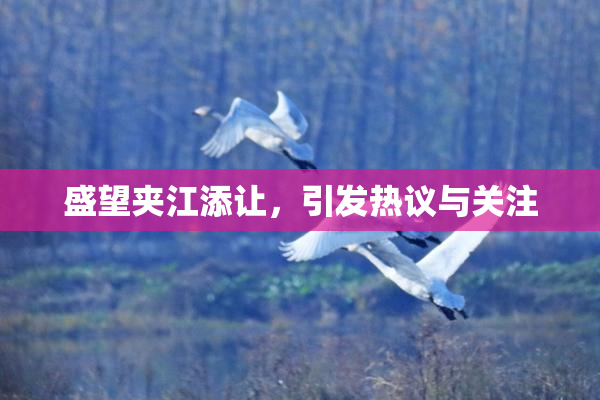 盛望夹江添让，引发热议与关注