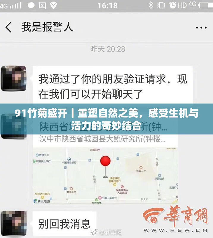 91竹菊盛开丨重塑自然之美，感受生机与活力的奇妙结合