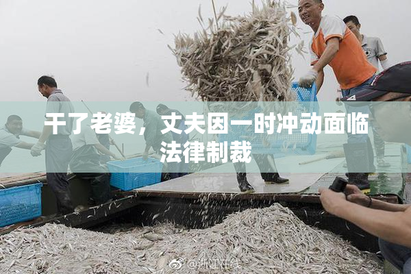 干了老婆，丈夫因一时冲动面临法律制裁