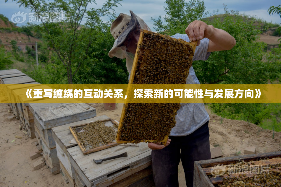 《重写缠绕的互动关系，探索新的可能性与发展方向》