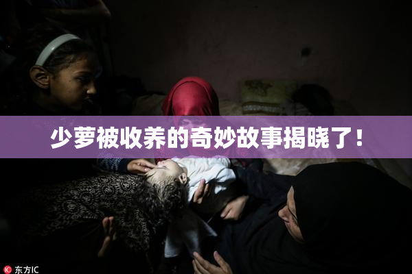 少萝被收养的奇妙故事揭晓了！
