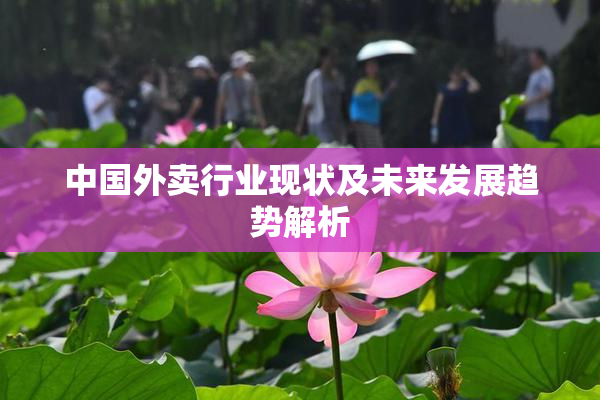 中国外卖行业现状及未来发展趋势解析