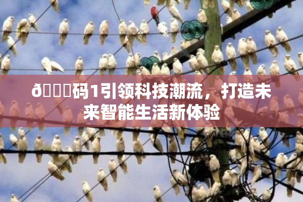 🈚码1引领科技潮流，打造未来智能生活新体验