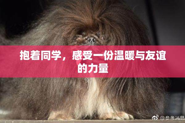 抱着同学，感受一份温暖与友谊的力量