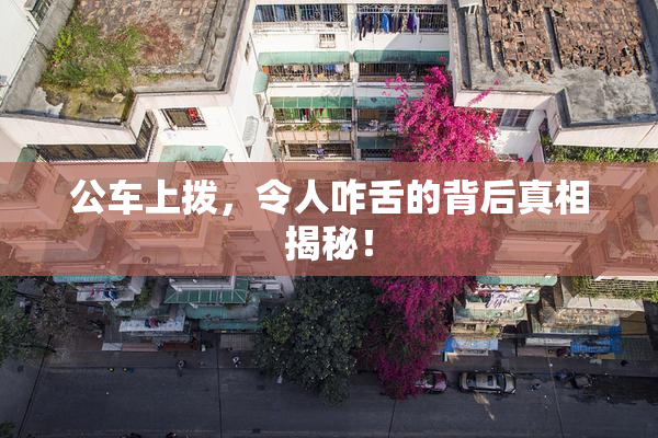 公车上拨，令人咋舌的背后真相揭秘！