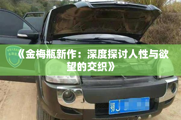 《金梅瓶新作：深度探讨人性与欲望的交织》