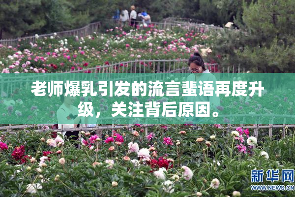 老师爆乳引发的流言蜚语再度升级，关注背后原因。